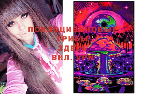 соль курить ск Пересвет